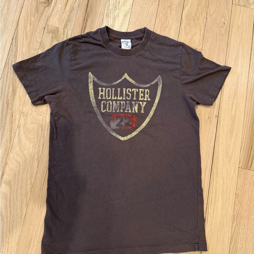 VINTAGE Hollister Brown Short Sleeve Graphic